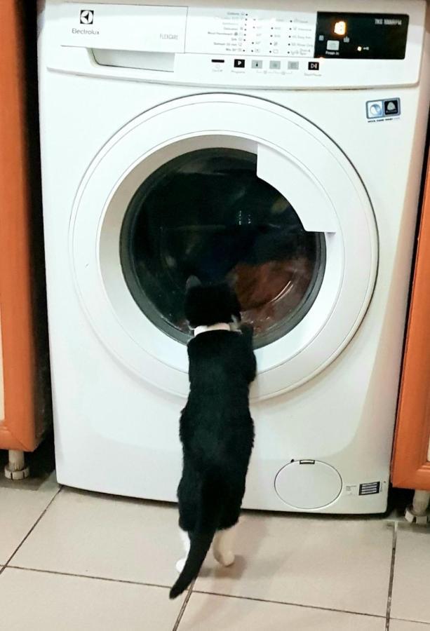 Хостел тапок